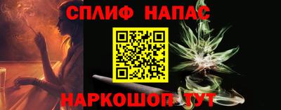 гидра Аша
