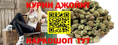 гидра Аша