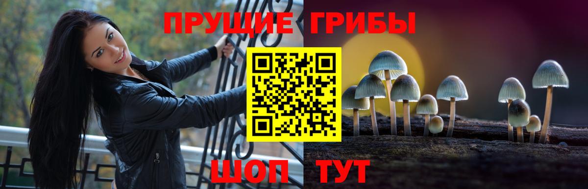 Соль-Илецк  Псилоцибиновые грибы Psilocybe  Вход с VPN 